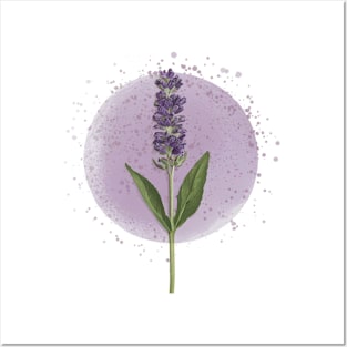 lavender Posters and Art